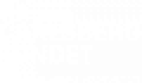 Ny Carlsberg Fondet