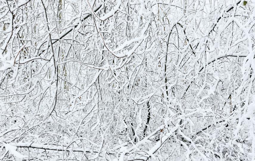 ©Sanna Kannisto, First Snow 1–2, 2017 (diptych)